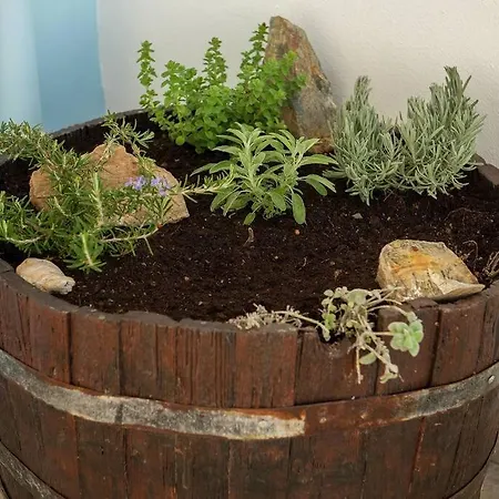 Apartamento ΄΄αdonis Home
